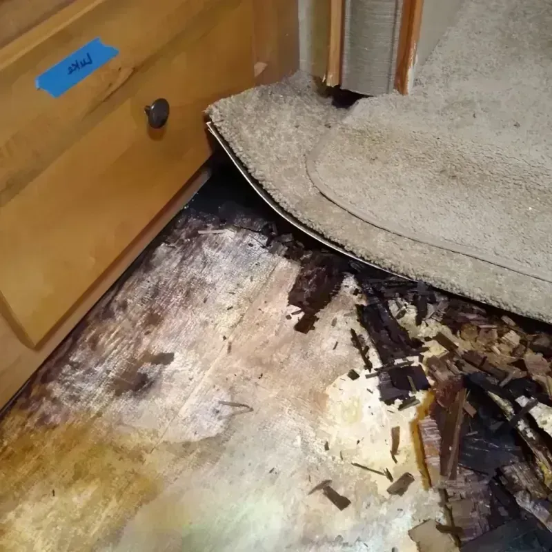 Wood Floor Water Damage in Florissant, MO